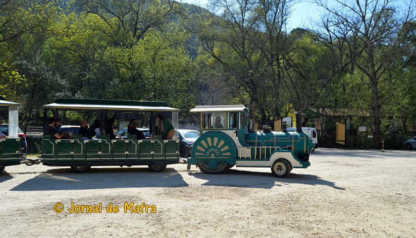 Tapada Nacional de Mafra