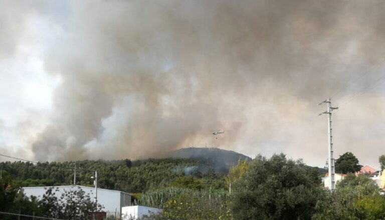 Mafra | Incêndio na Serra do socorro entrou na fase de ...