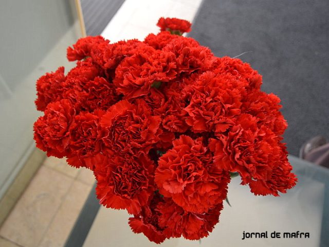 25 de abril