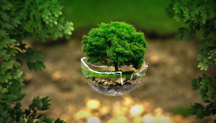 Hoy es el Día Mundial del Medio Ambiente – Jornal de Mafra Hoy es el Día Mundial del Medio Ambiente
