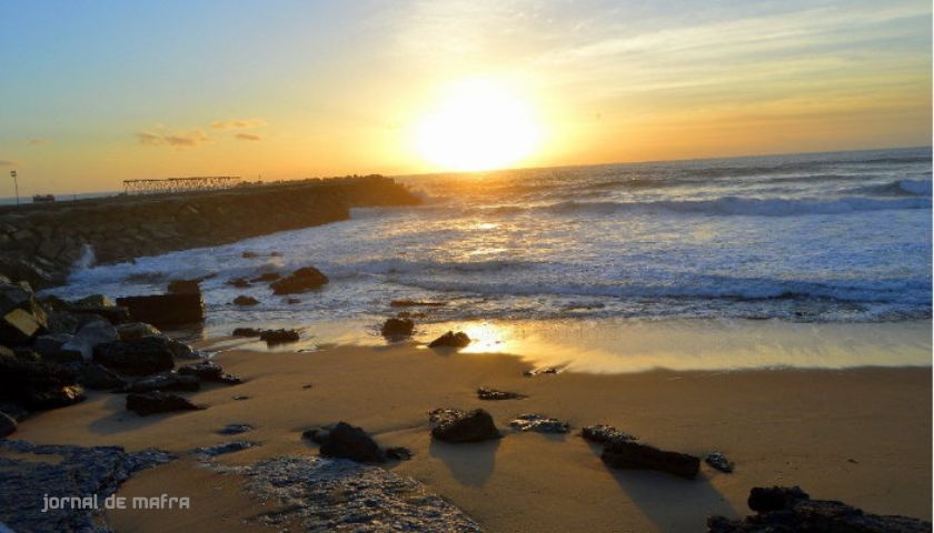 Ericeira algodio