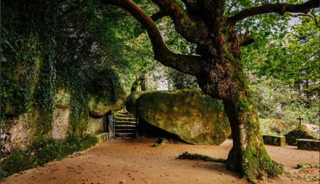 Convento Capuchos sintra