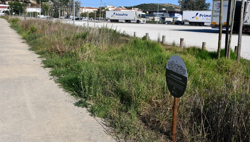 Espaços Verdes Torres Vedras cmtv