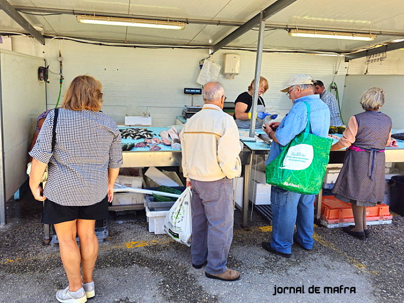 Feira Malveira19