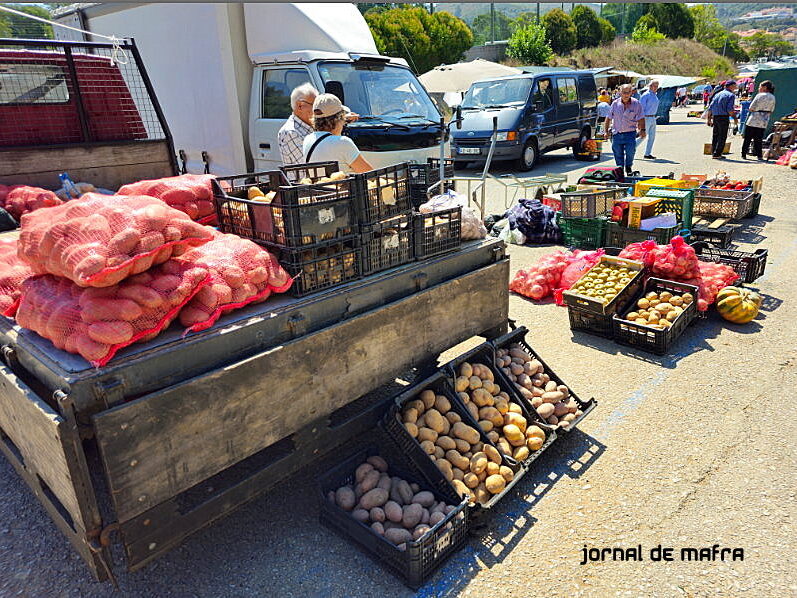 Feira Malveira6