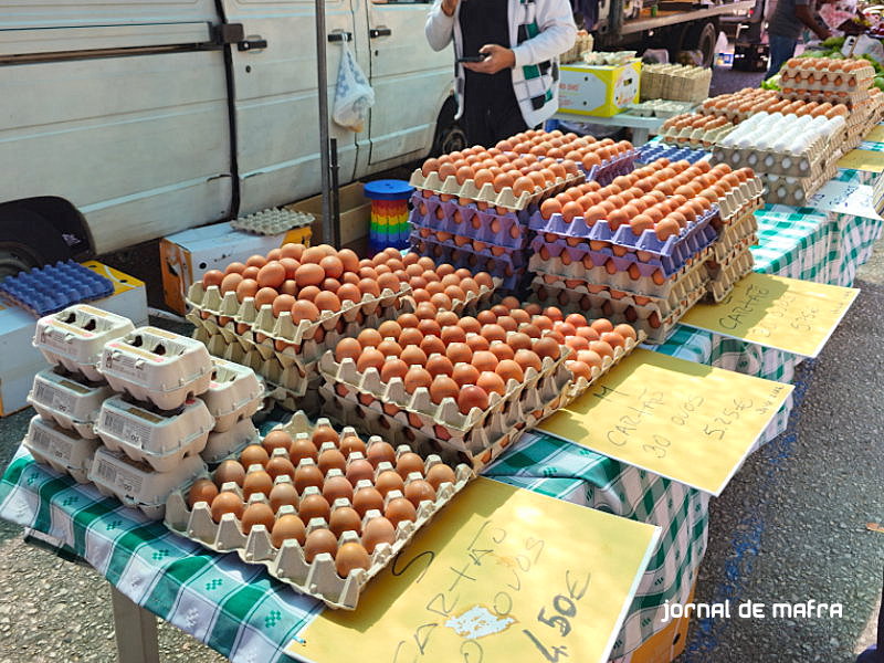 Feira Malveira8