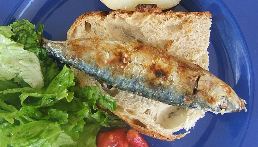 Sardinha