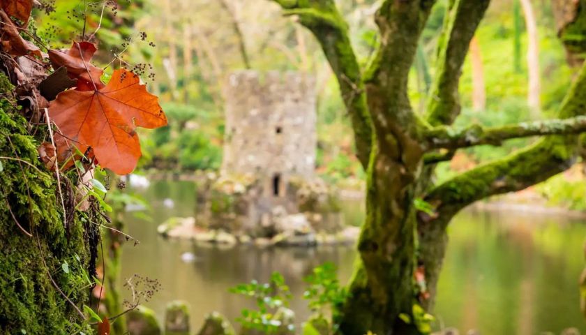 Sintra parque da pena