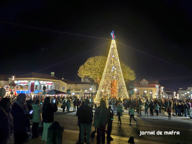 natal mafra 2024 (11) Árvore de Natal