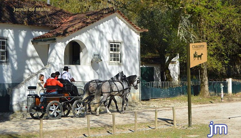 Charrete Tapada Nacional de Mafra