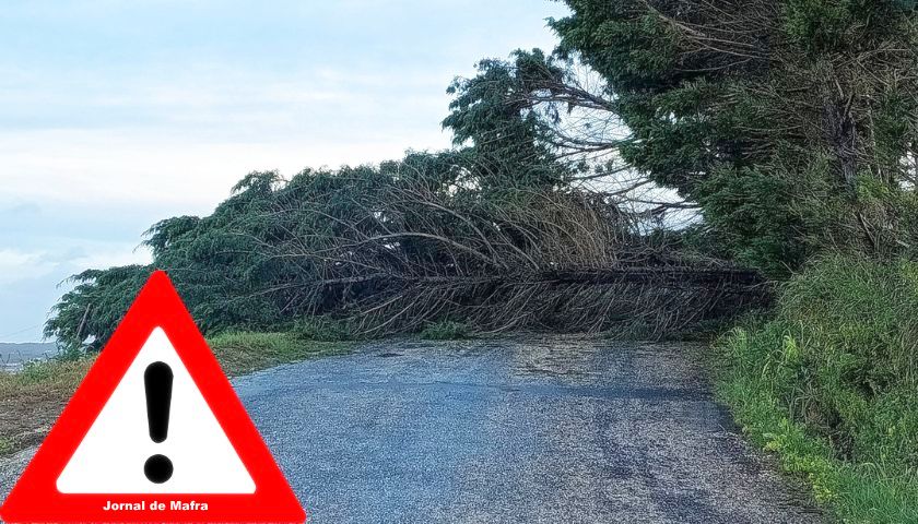 RECOMENDAÇÕES PARA A CIRCULAÇÃO RODOVIÁRIA FB