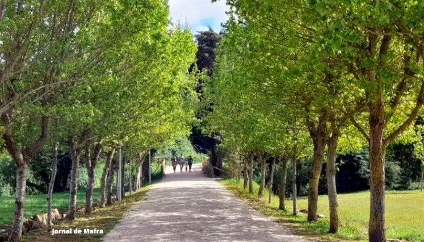Caminhos