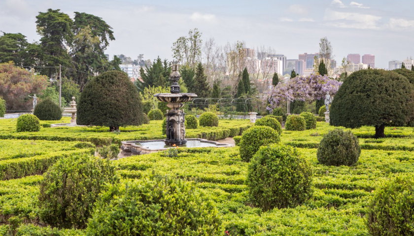 Festival Jardins Abertos