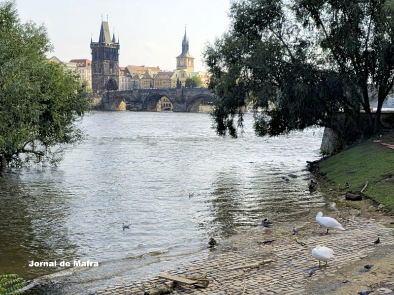 Praga35